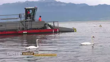 Au boulot pour nettoyer le domaine public 3/3