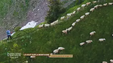 La philosophie du berger-conteur 1/3