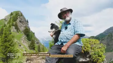 La philosophie du berger-conteur 3/3