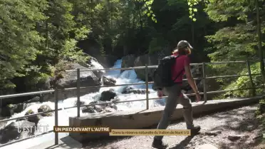 Balade dans la réserve naturelle du Vallon de Nant 1/3