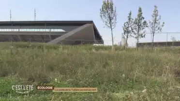 Le stade de la Tuilière se met au vert