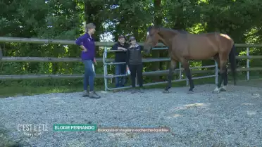 Au boulot au Haras d&#039;Avenches 3/3