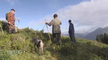 Loi sur la chasse : comment protéger les animaux sauvages ?