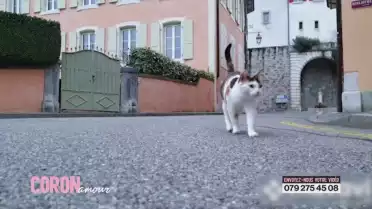 Coronamour: Les rues sont vides