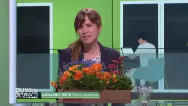 Caroline a testé l'achat de plantes online