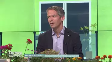 La pandémie est-elle en train de disparaître ?