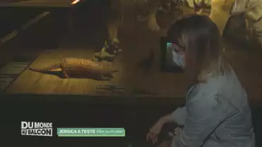 Jessica a testé le Musée d&#039;histoire naturelle de Fribourg