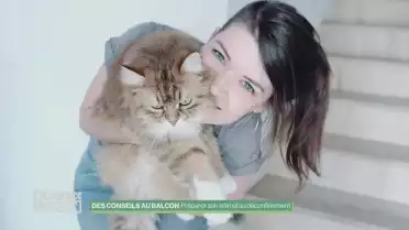 Préparer son animal au déconfinement