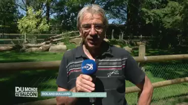 Le point sur la réouverture des zoos le 6 juin