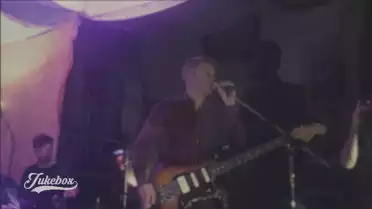 Timber Wolf (live) - Kids Mountain