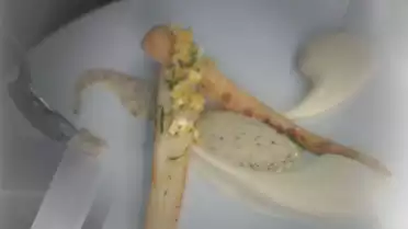 Panais en duo de moutarde noire et lierre terrestre