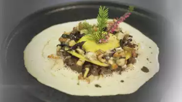 Civet de chamois, champignons des bois et cèpes