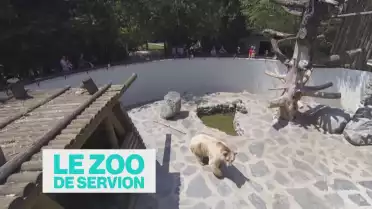 Le zoo de Servion