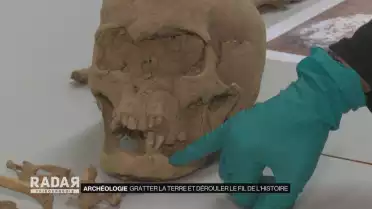 Gratter la terre et dérouler le fil de l&#039;histoire