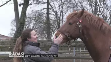 Je l&#039;aime à hennir