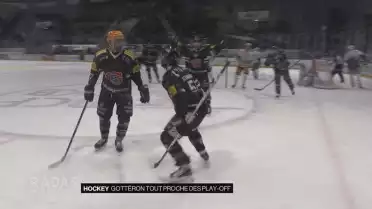 Gottéron tout proche des play-off