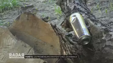 Les promeneurs s&#039;invitent chez les animaux