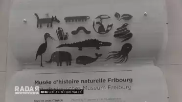 Crédit d&#039;étude validé pour le MHN