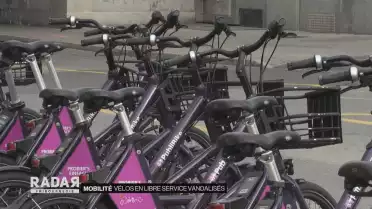 Réseau en libre service temporairement suspendu