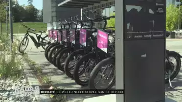 Réseau rouvert à Fribourg