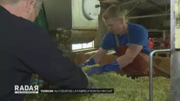 Au cœur de la fabrication du vin cuit