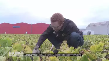 Le Grand Conseil au chevet des betteraviers