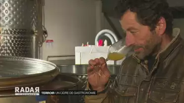 Du cidre pour la gastronomie