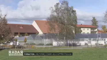 Une ferme comme lieu d&#039;apprentissage