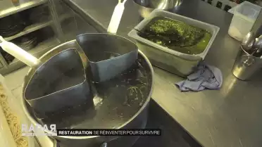 Se réinventer pour survivre