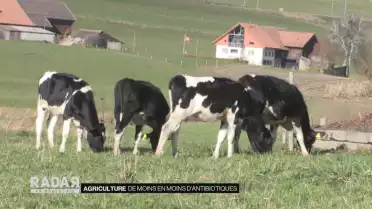 De moins en moins d&#039;antibiotiques