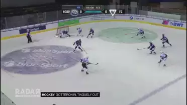 Gottéron in, Tinguely out
