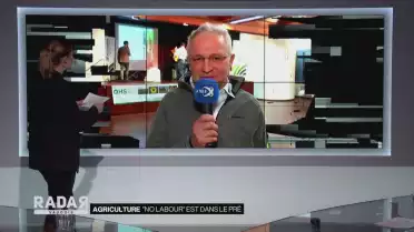 &quot;No labour&quot; est dans le pré