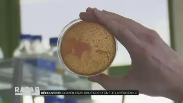 Quand les antibiotiques font de la résistance
