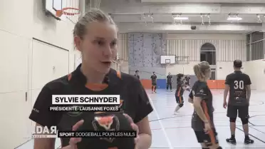 Dodgeball pour les nuls