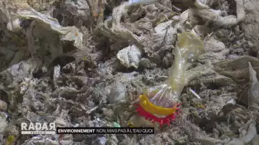 Non, mais pas à l&#039;eau quoi !