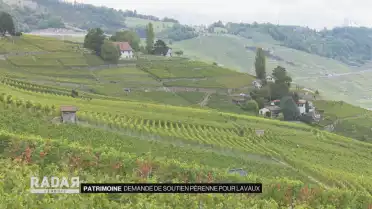 Demande de soutien pérenne pour Lavaux