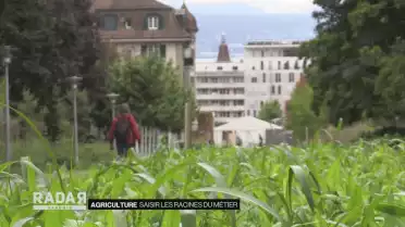 Journal du 29 septembre 2020