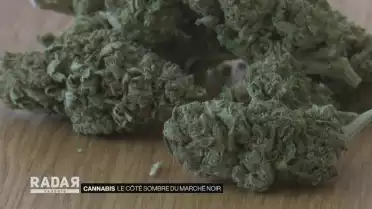 Cannabis: le côté sombre du marché noir