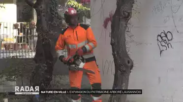 Le patrimoine arboré lausannois est en expansion