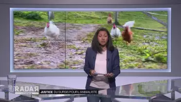 Une animaliste en sursis
