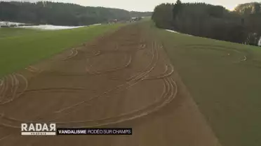Rodéos sur champs
