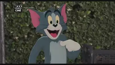 Les sorties ciné du 19 mai 2021