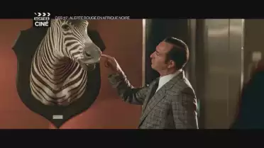 Les sorties ciné du 4 août 2021