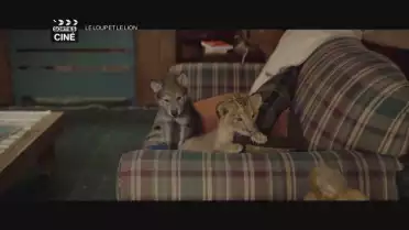 Les sorties ciné du 13 octobre 2021