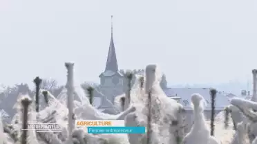 Entrepreneurs [S.2021][E.42]