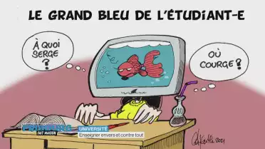 Université: enseigner envers et contre tout