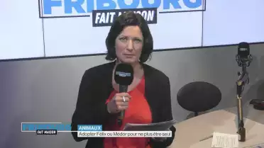 Adopter Félix ou Médor pour ne plus être seul