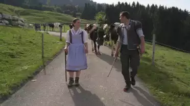 La désalpe