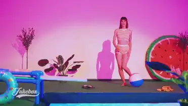 Captain Flamingo de Bibi Vaplan