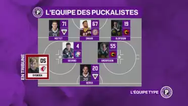 L&#039;équipe type des Puckalistes
